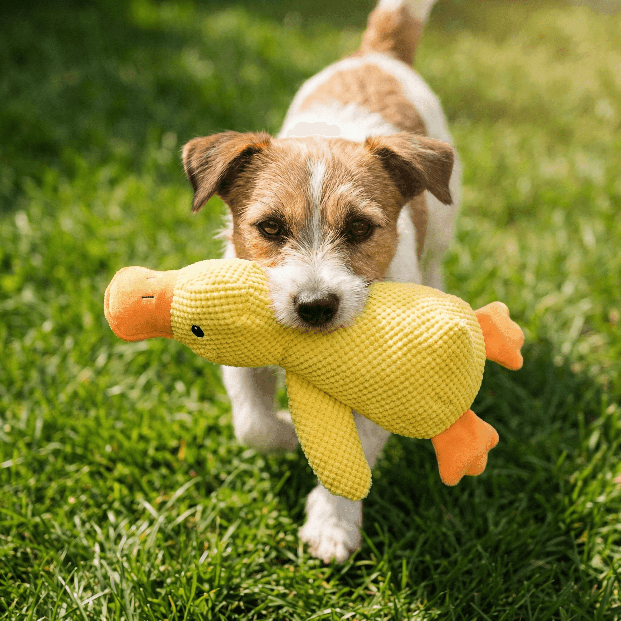Kawaii Plush Dog Toy — generated 3